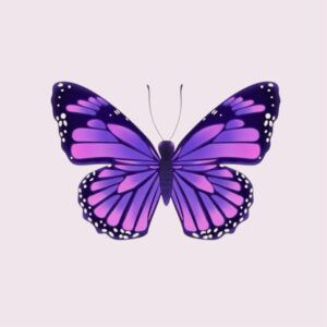 Purple Butterfly - Sticker