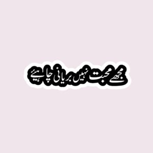 Mujhay Muhabbath Nahi Biryani Chaye - Sticker